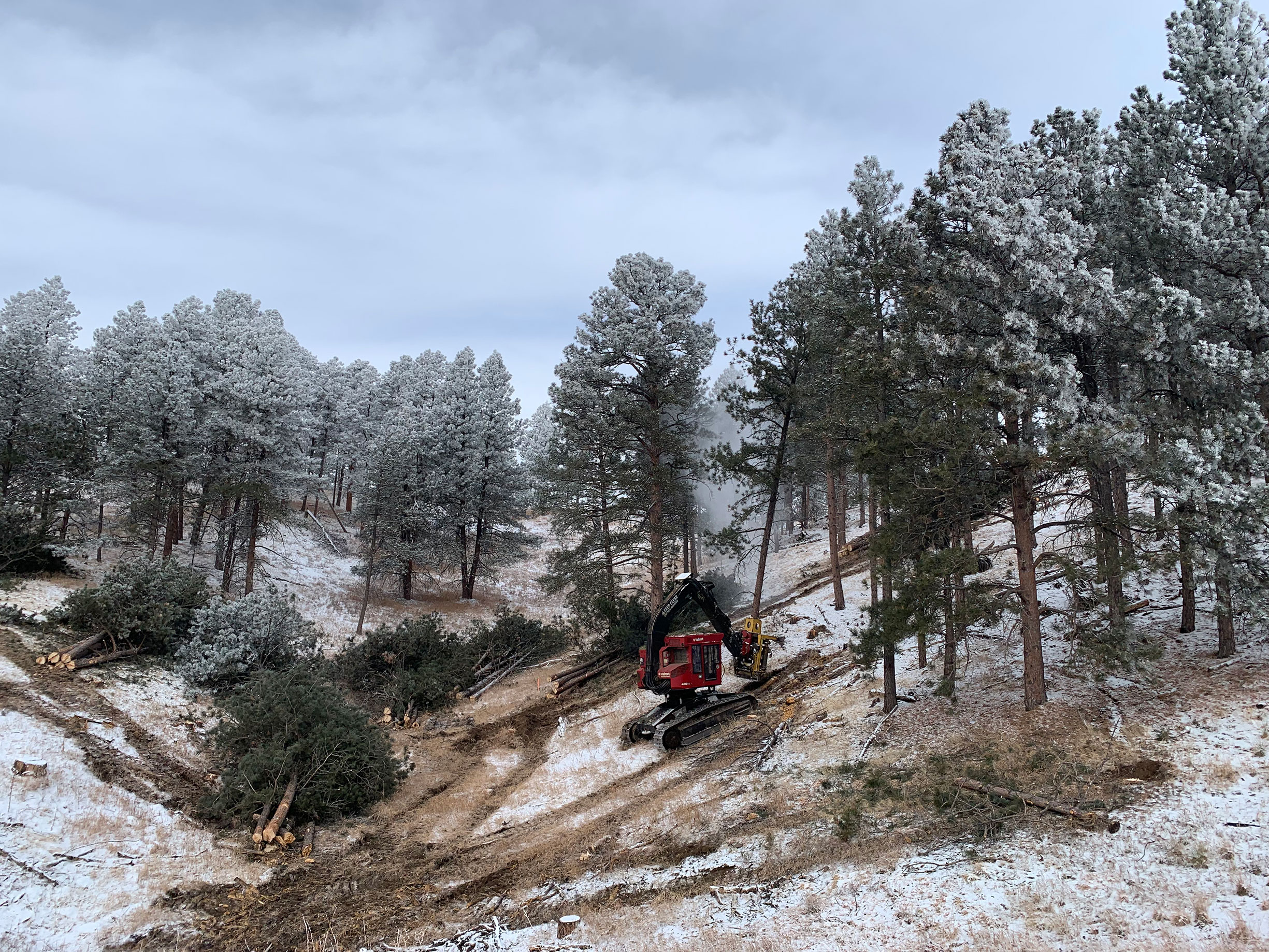 Construction Progress