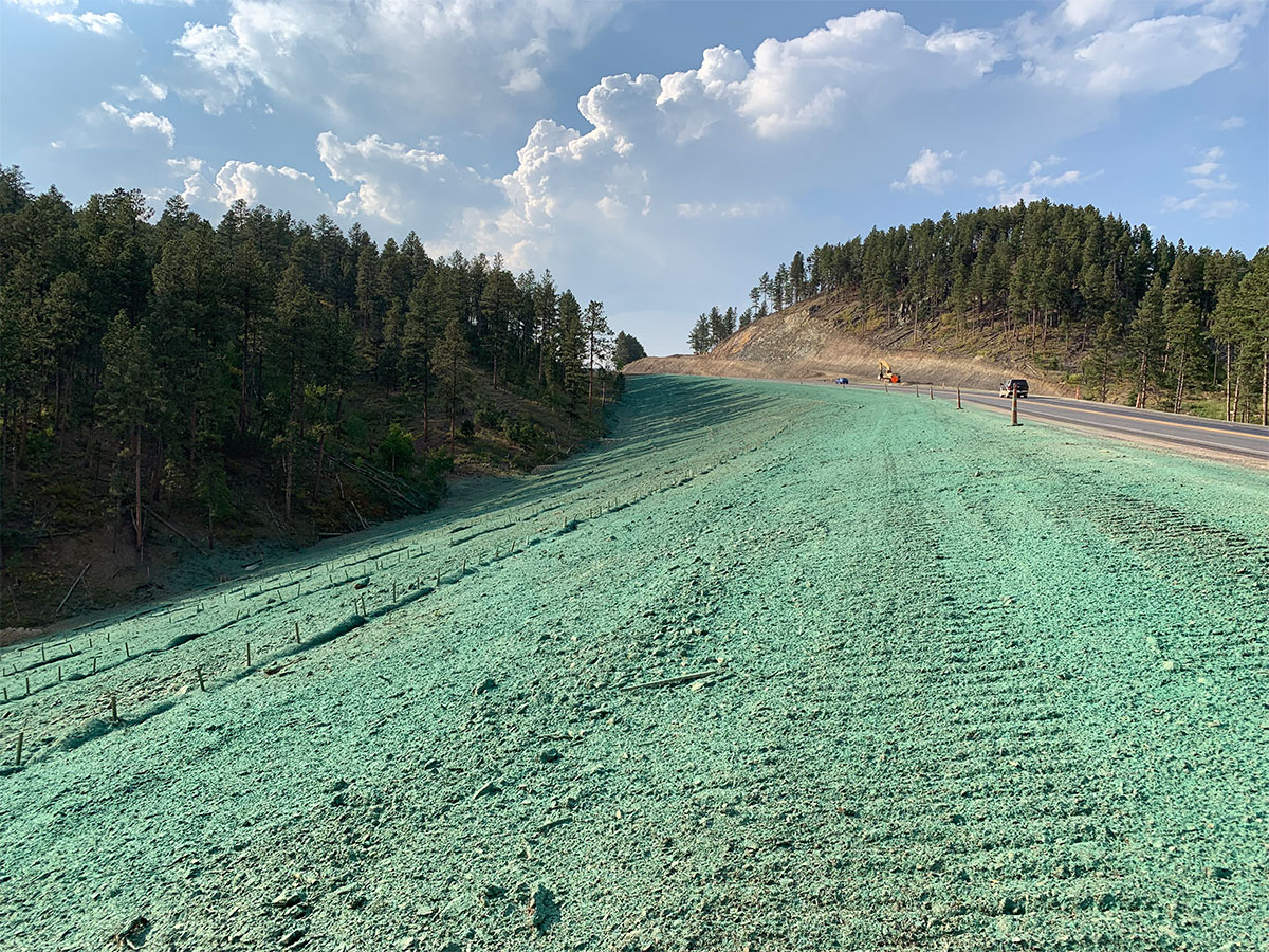 Green erosion control/seeding protection on the edge of roadway.